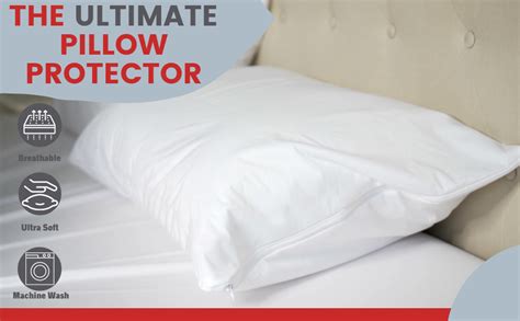 Bed Bug On Pillow Case