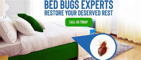 bed bug treatment charlotte nc