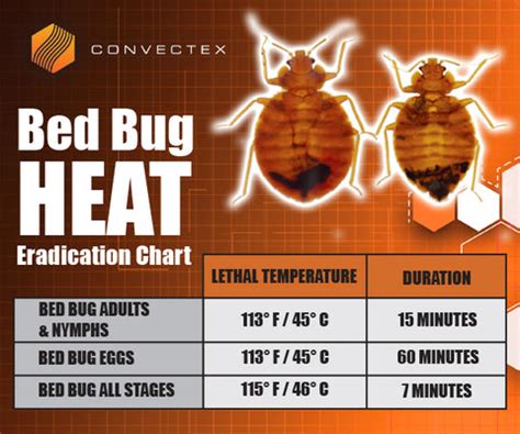 Bed Bugs Active Temperature