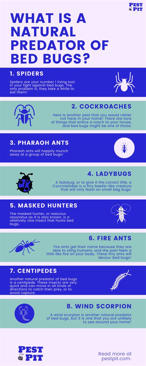 Bed Bugs Natural Predator