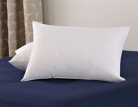 Bed Express Pillows