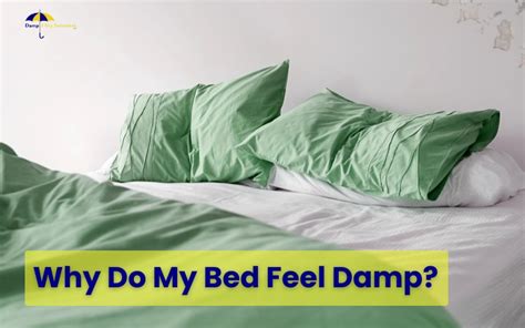 Bed Feels Damp In Winter
