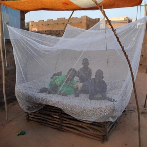 Bed Nets Prevent Malaria