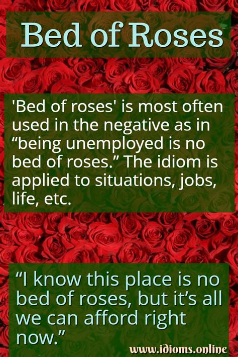 Bed Of Roses Example In Sentence