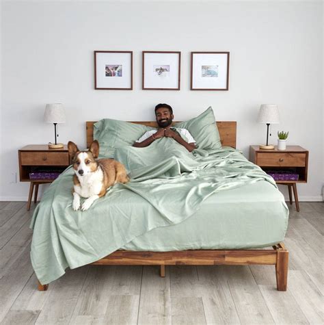 bed sheets for pet hair