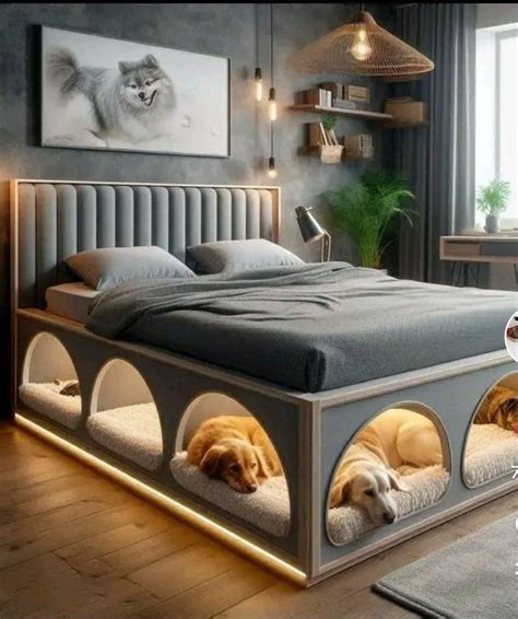 Bed With Dog Bed On Side