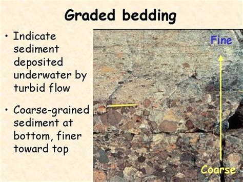 Bedding In Sedimentary Rocks Is Defined By Quizlet