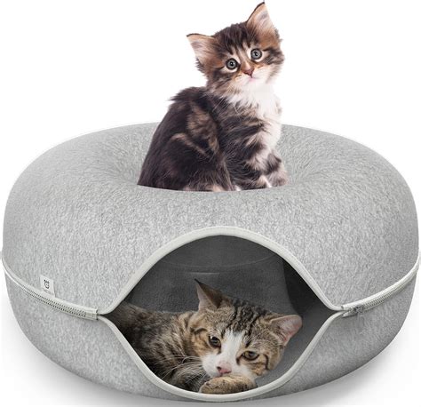 Beds For Kitty Cats