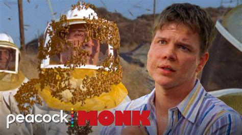 bee video monk gone