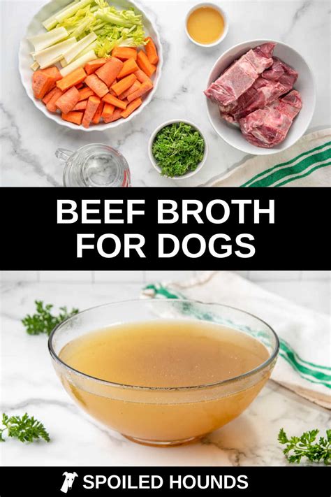 Cooked Beef for Dogs