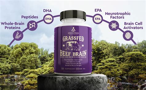 Beef Brain Supplement