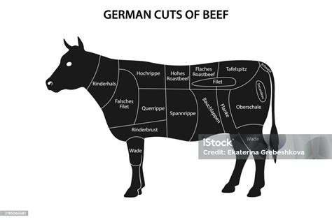 Beef Cuts In German