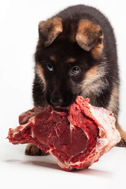 Beef For German Shepherd
