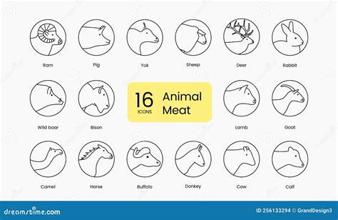 Beef Nearest Head Of Animal