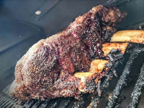 Beef Ribs Dinosaur Bones