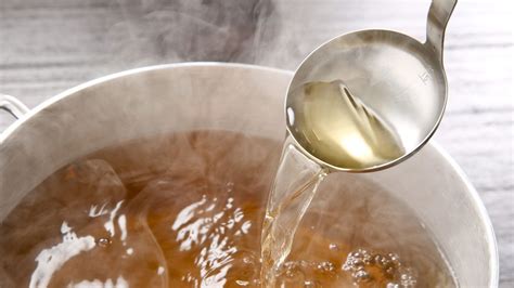 Beef Stock Colonoscopy