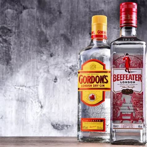 Beefeater Vs Gordon S Gin