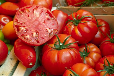 Beefsteak Tomatoes Uk