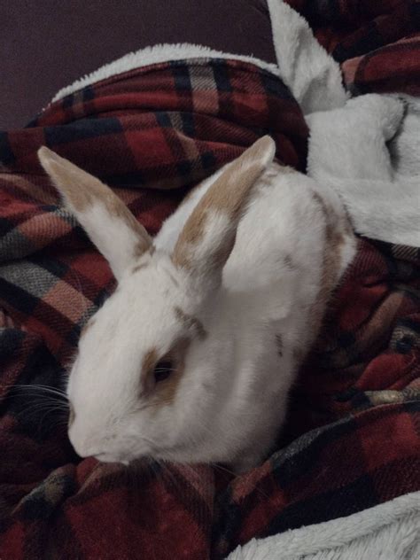 About Beeg Boy And Boy Latest