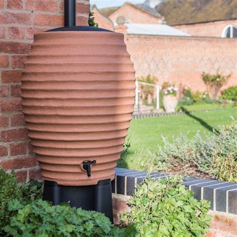Best Beehive Water Butt Guide 2023