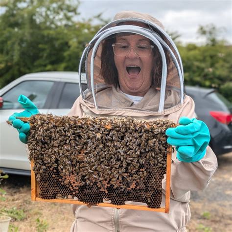 beekeeping experience