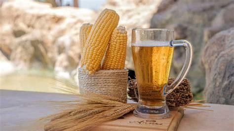 Beer Brewed From Corn