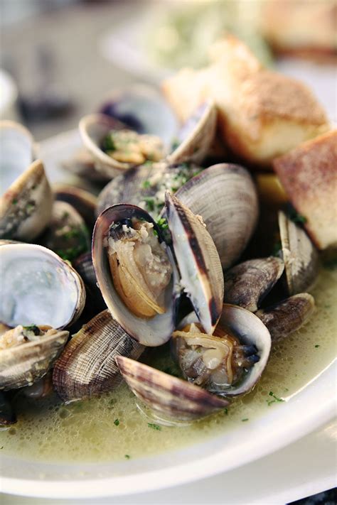 Beer Clams Steamed