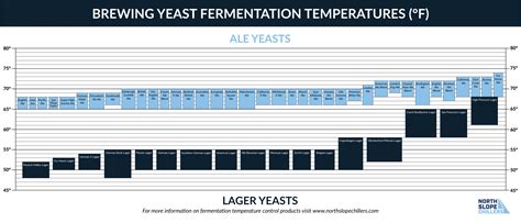 Beer Fermentation Temperature Too High
