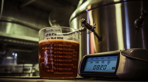 Beer Fermentation Warm