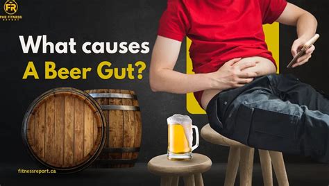 Beer Gut Synonym