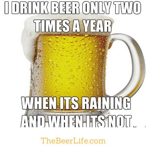 29 Funniest Beer Memes Images On All Over The PICSMINE
