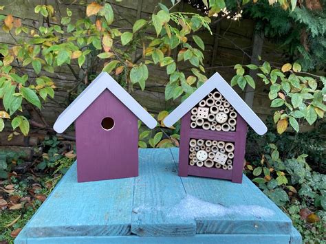 Bees In A Bird Nesting Box