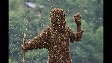 bees sting arizona massive swarm