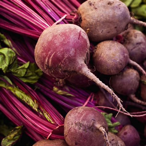 Beet Definition English