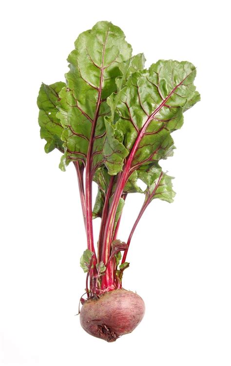 Beet Vegetable In Kannada