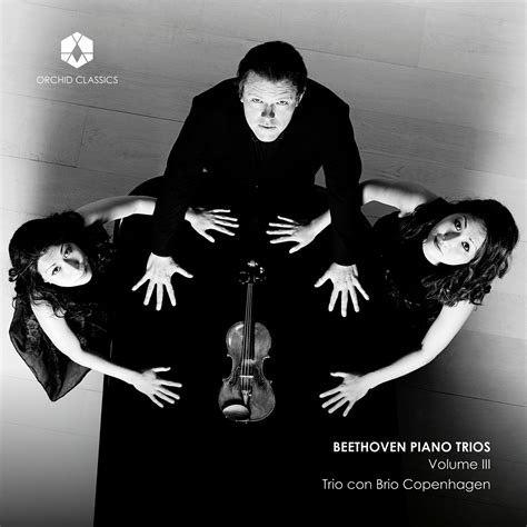 beethoven piano trio 3