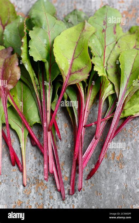 Beetroot Leaves Uk