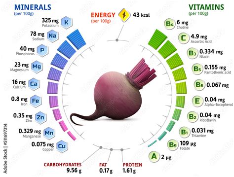 Beetroot Vitamins and Minerals