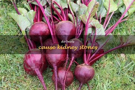 Beets Cause Kidney Damage