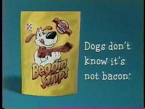 if it wasnt for the beggin strips this would have been a long day