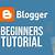 beginner blogger