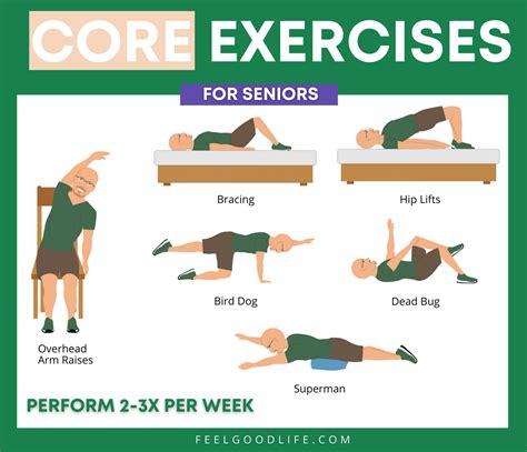 Beginner Core Exercises For Seniors     A Comprehensive Guide