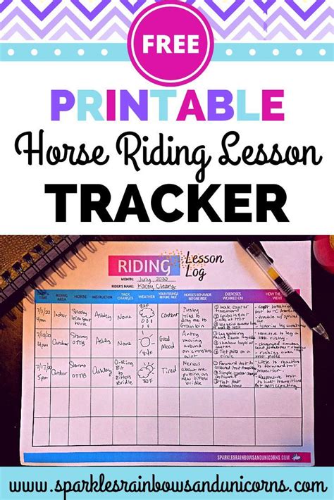 beginner horse lesson plan