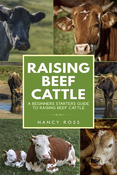 beginners guide to raising cattle