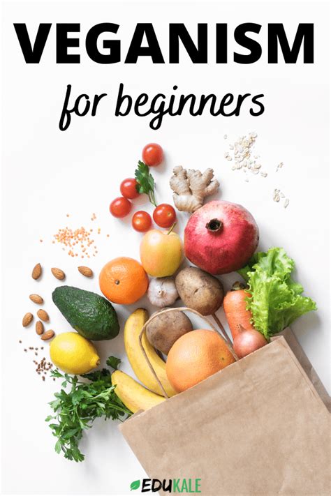 Beginners Guide Veganism