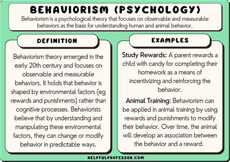 behavioral theory meaning and examples