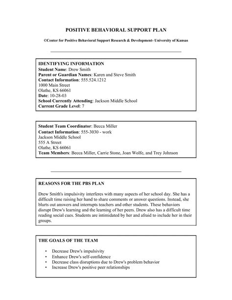 behaviour support plans examples pdf