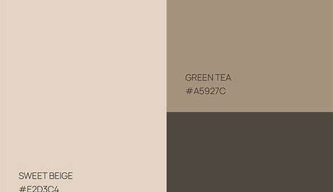 Beige and brown | Good color combinations, Brown floors, Home