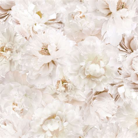 Beige Flower Wallpaper Wall