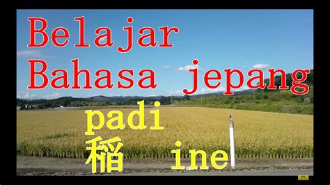 Belajar Bahasa Jepang Sawah Indonesia